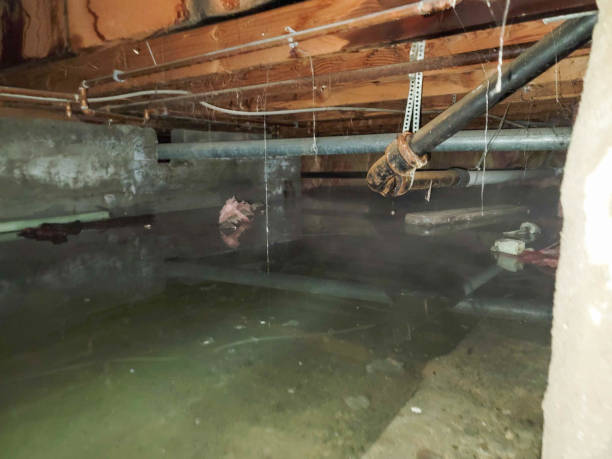 Best Water damage restoration near me  in Scottdale, GA