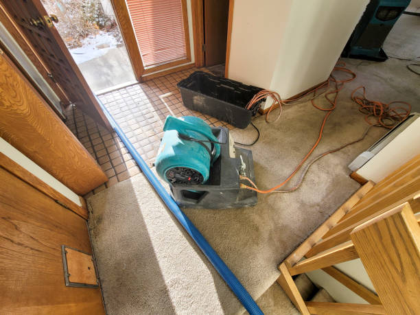 Best Residential water damage restoration  in Scottdale, GA