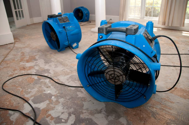 Best Basement water damage restoration  in Scottdale, GA