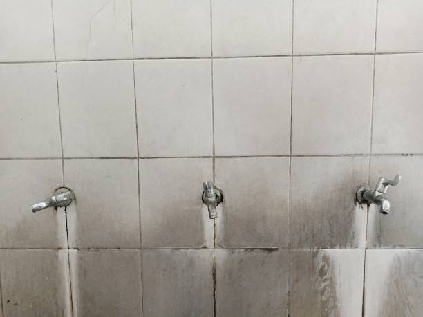 Best Flooded house restoration  in Scottdale, GA
