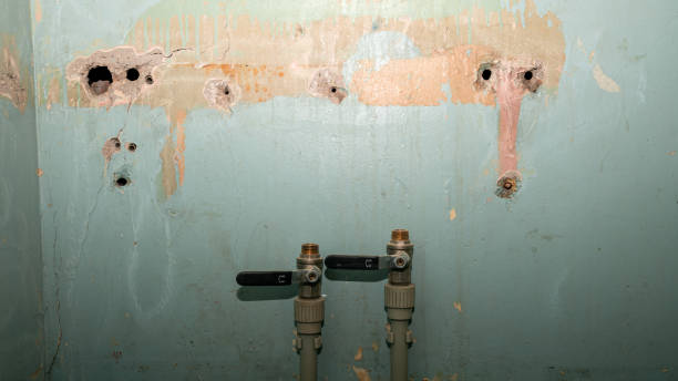 Best Mold removal after water damage  in Scottdale, GA