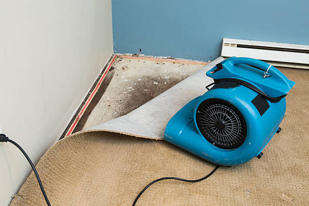 Best 24/7 water damage repair  in Scottdale, GA